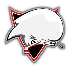 Logo Toulouse Blagnac Hockey Club